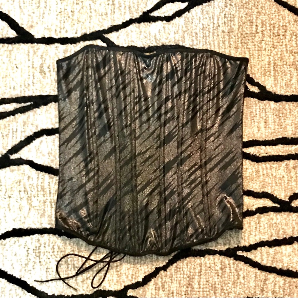 Sheer Black and Silver Corset With Side Zipper